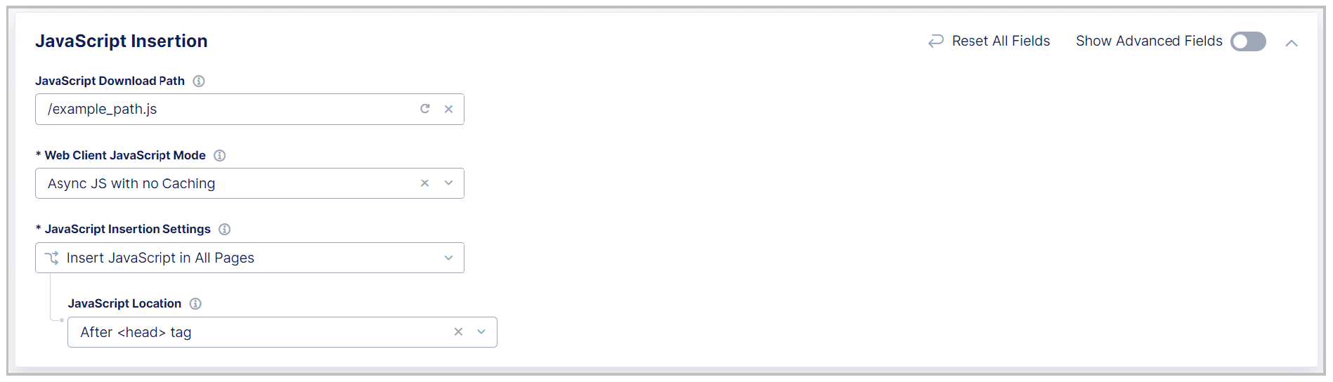 Figure: Configure JavaScript Injection