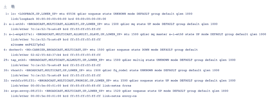Figure: Command Output